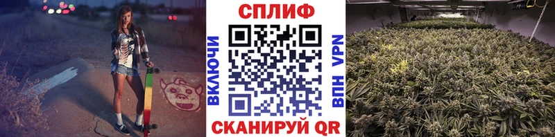 Шишки марихуана AK-47  Купить где  Медынь 